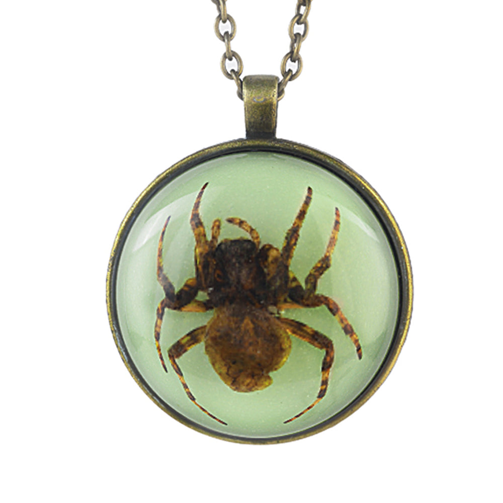 Pins & Bones Spider Necklace, Pendant Jewelry, Genuine Spider Remains by pinsandbones.com
